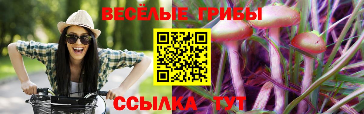 Галлюциногенные грибы мицелий  Вход с VPN  Галлюциногенные грибы мицелий  Рославль 