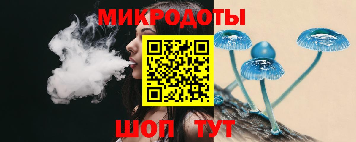 Галлюциногенные грибы Psilocybine cubensis Рославль